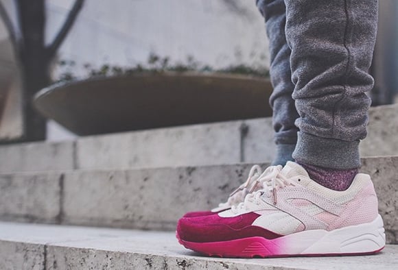 sakura puma