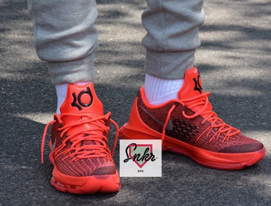 kd 8 bright crimson