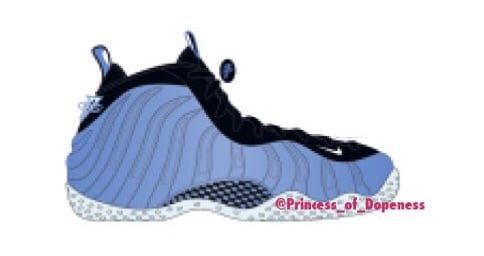 carolina foamposite pro