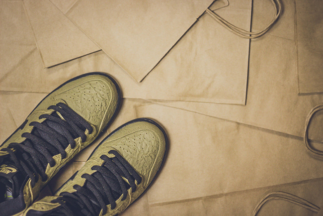 Nike SB Dunk High Brown Bag