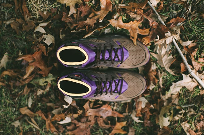 Trail End Brown Nike Air Mowabb OG