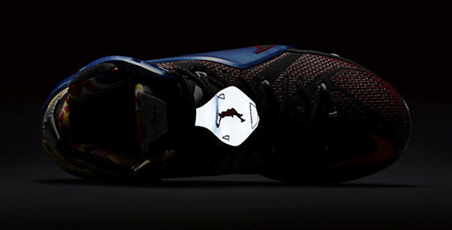 Nike LeBron 12 What The