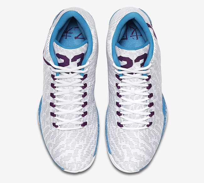 Air Jordan XX9 Hornets Feng Shui