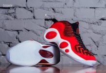 Nike Air Zoom Flight 95 Premium Release Date Sneakerfiles