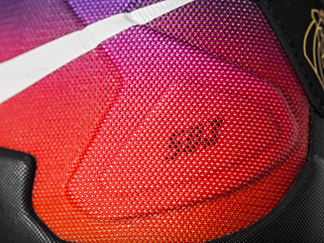 Nike LeBron 13 Doernbecher