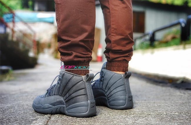 On Feet Air Jordan 12 PSNY