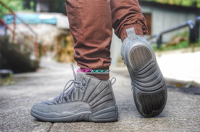 On Feet Air Jordan 12 PSNY