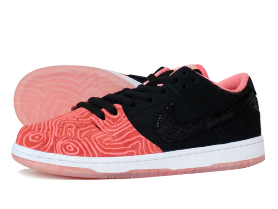 sb dunk salmon