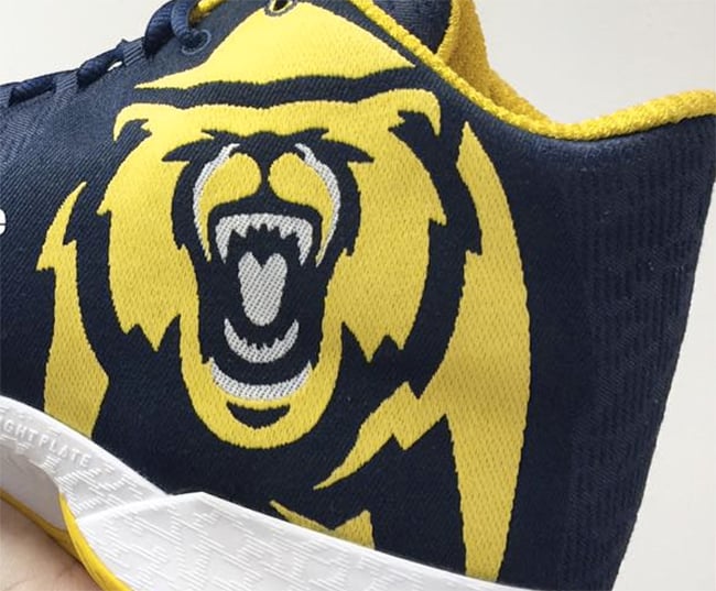 Air Jordan XX9 Cal Golden Bears