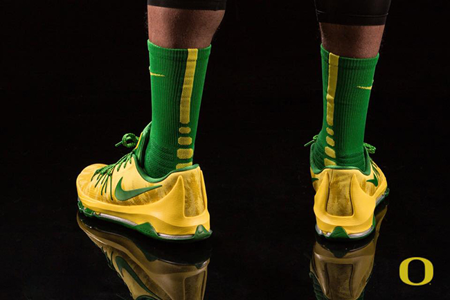 Nike KD 8 Oregon Ducks Pine Tree