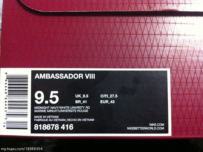 Nike LeBron Ambassador 8 USA