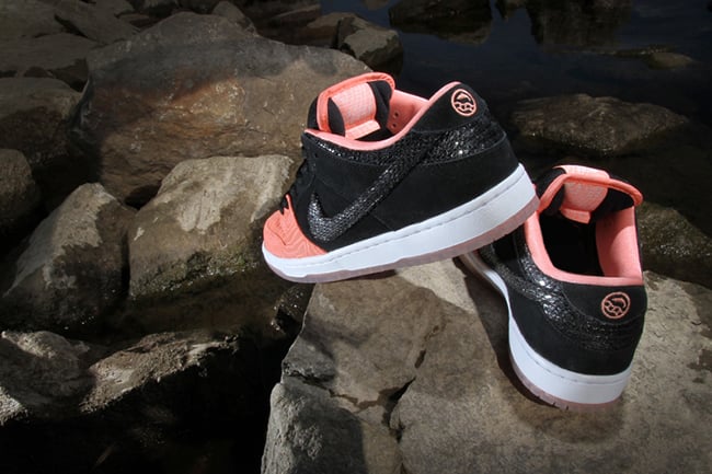 Premier Nike SB Dunk Fish Ladder