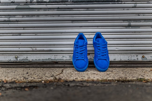 royal blue and white pumas