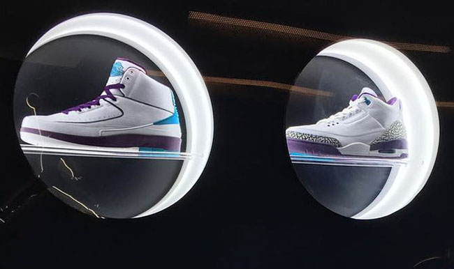 Charlotte Hornets Air Jordan Samples