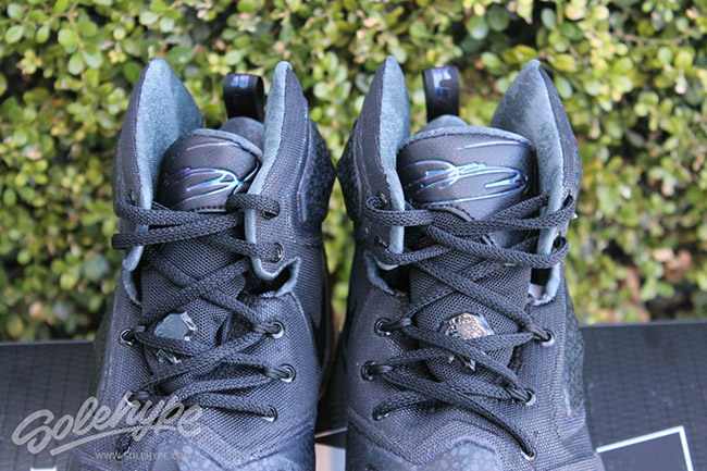 Nike LeBron 13 Black Lion