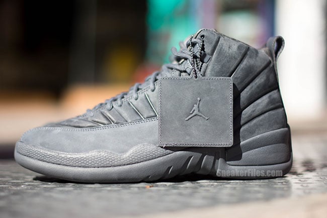 Public School Air Jordan 12 PSNY | Gov