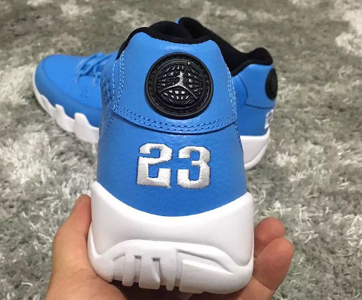 jordan 9 pantone