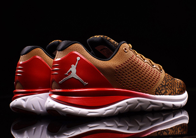 Jordan Trainer ST Premium Ale Brown