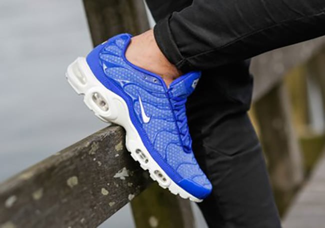 nike air max plus mesh