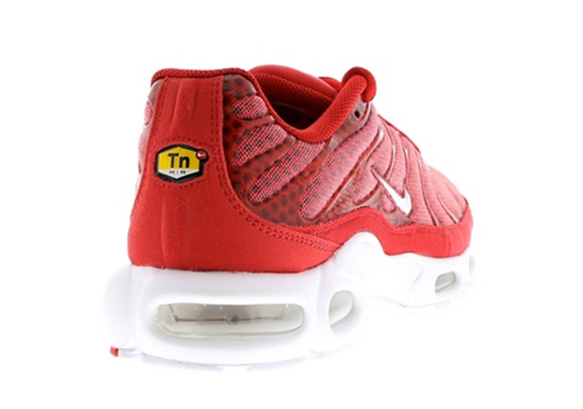 Nike Air Max Plus Mesh University Red