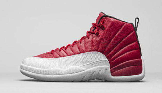 Alternate Air Jordan 12