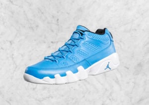 jordan 9 pantone