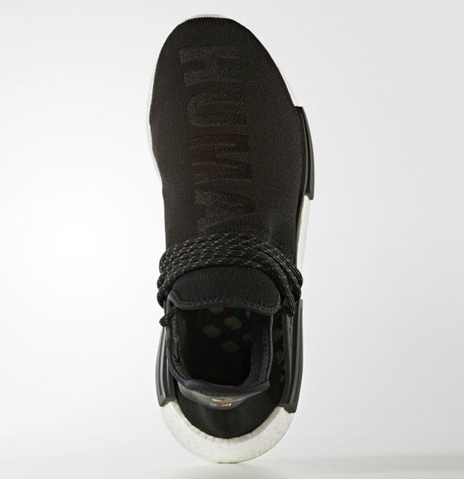 human race species black