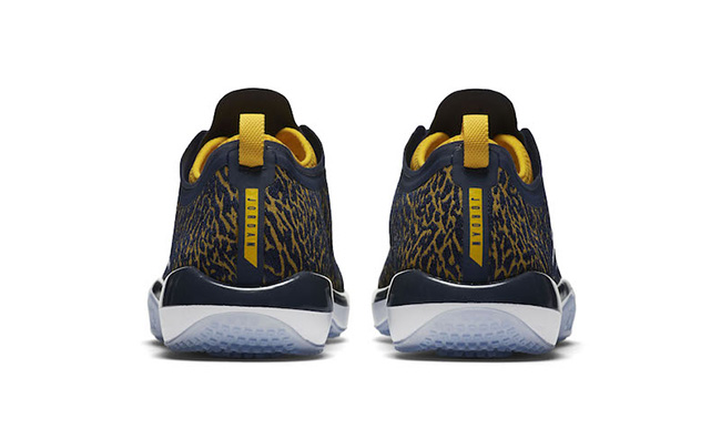 Jordan Trainer 1 Low Michigan