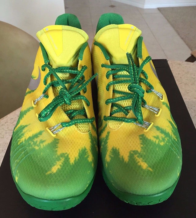 Nike Hyperchase Oregon Ducks PE