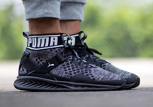 evoknit ignite puma