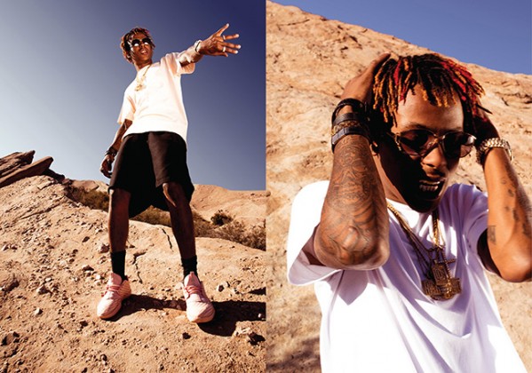 Zebra Print Nike Air Max Shoes Nike Free 5.0 2015 Womens