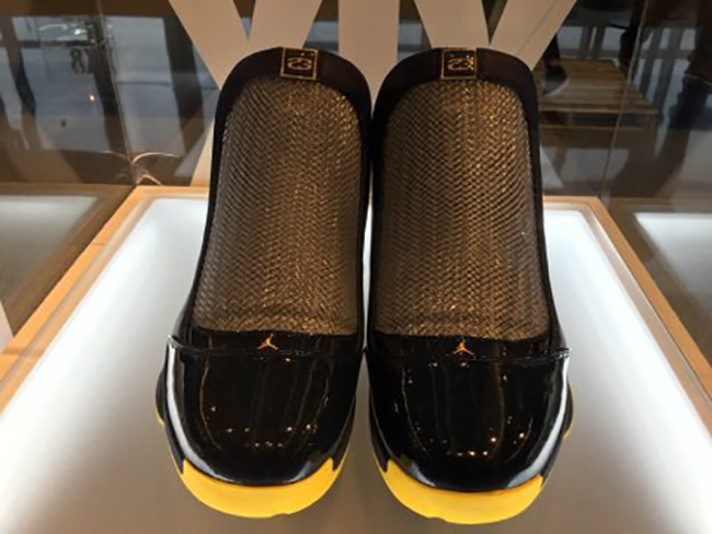 Air Jordan 19 Michigan PE