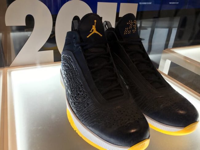 Air Jordan 2011 Michigan PE