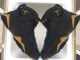 Jordan Release Dates Womens Jordans High Heels