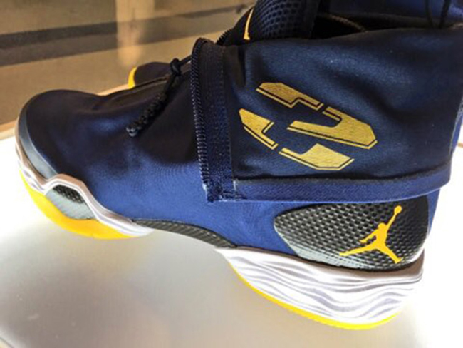 Air Jordan XX8 Michigan PE