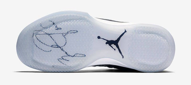 Fine Print Air Jordan XXX1