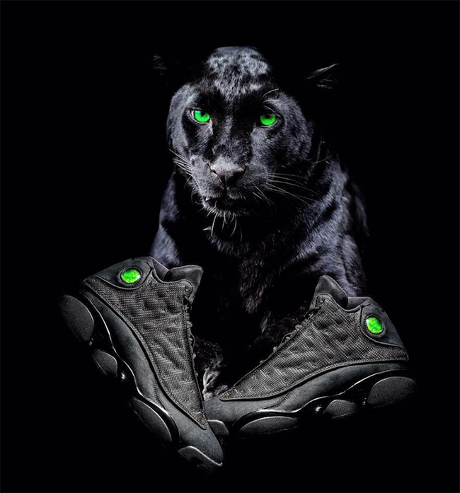 Air Jordan 13 Black Cat Panther