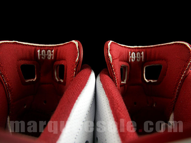 Alternate Air Jordan 6 2017