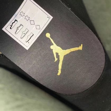 Nike Sb Zoom Harbor Fish Mens Air Jordan Size 11.5 For Sale