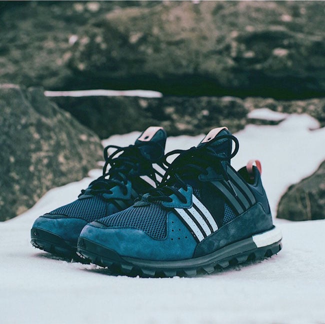 Kith Aspen Ronnie Fieg x adidas Trail Boost