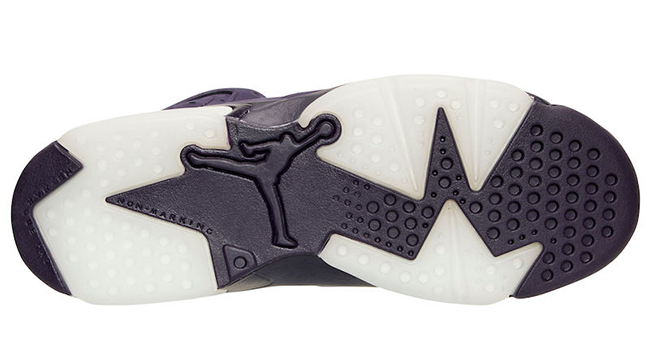 Purple Dynasty Air Jordan 6 GS