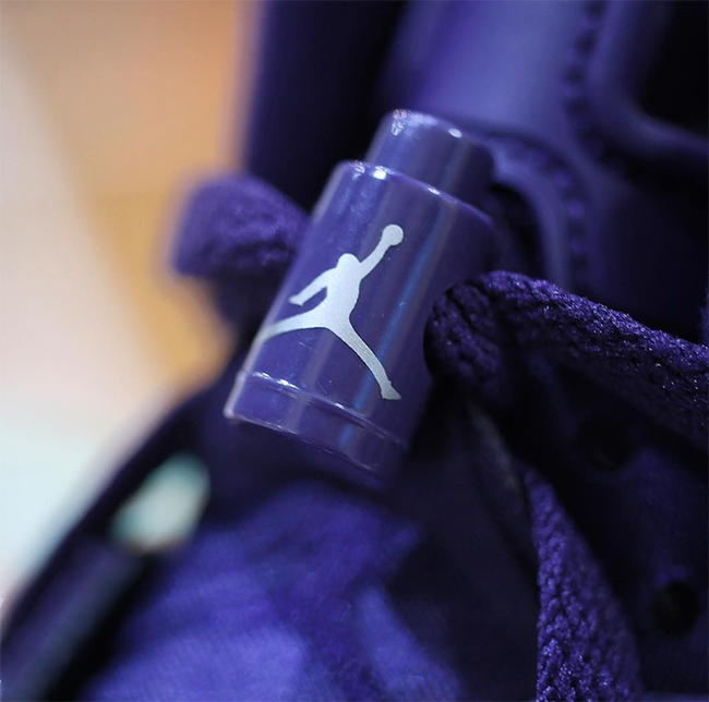 purple dynasty jordan 6