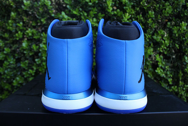 Royal Air Jordan XXX1