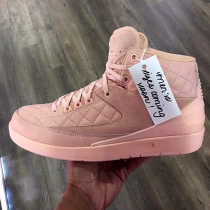 Nike Sb Zoom Harbor Fish Mens Air Jordan Size 11.5 For Sale