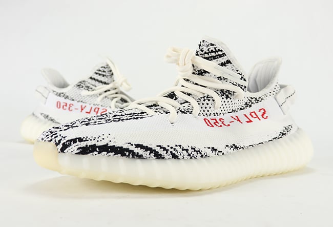 adidas yeezy zebra italia