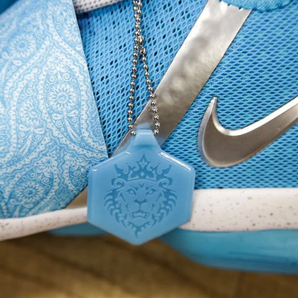 Nike LeBron 14 Ric Flair Release Date AA3258-404