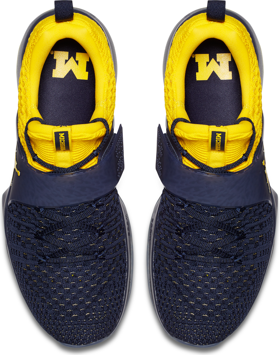 Jordan Trainer 2 Flyknit Michigan