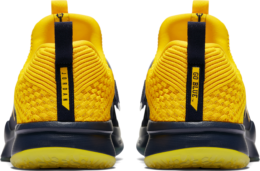 Jordan Trainer 2 Flyknit Michigan