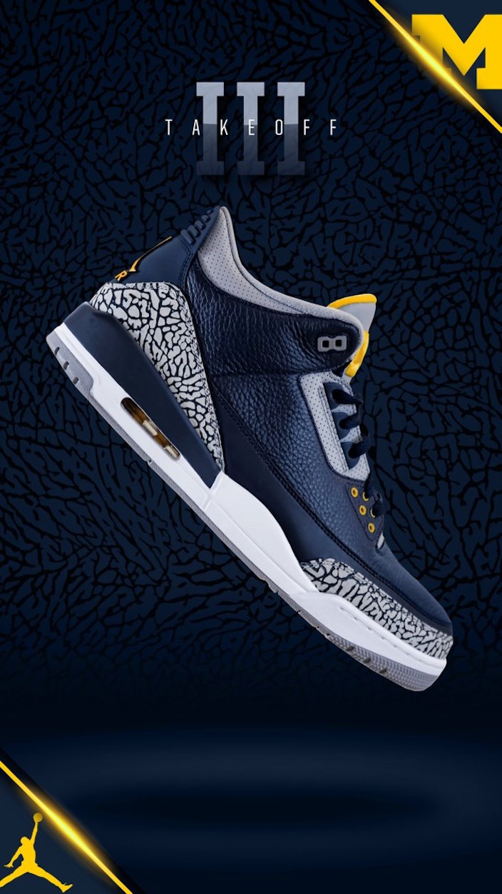 Air Jordan 3 Michigan PE