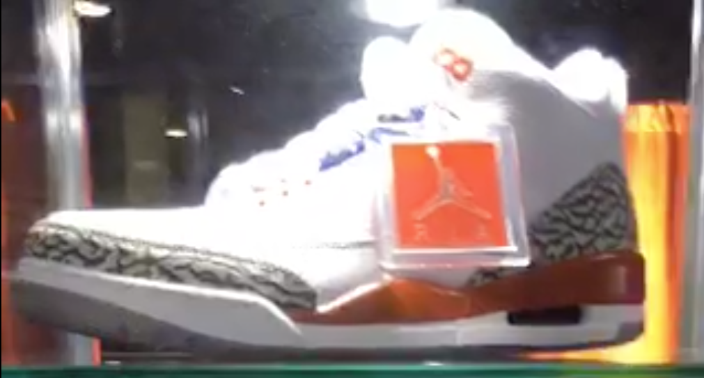 Air Jordan 3 Florida Gators